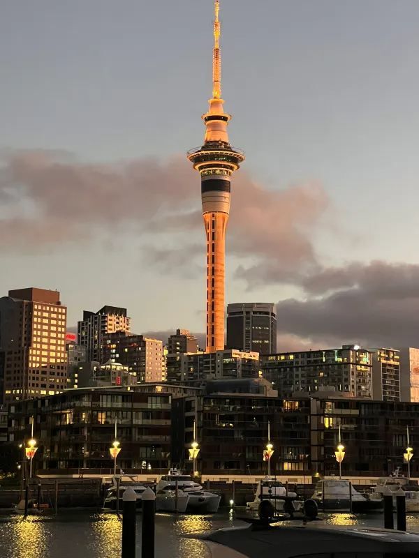 Auckland New Year Celebration