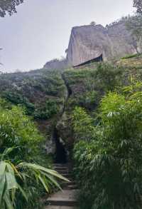 武夷山行程(第二日)