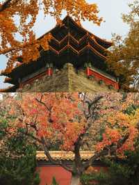 北京漢服體驗‖故宮拍照打卡避坑攻略