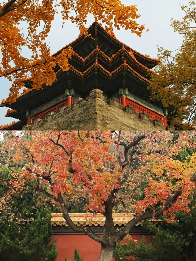 Beijing Hanfu Experience | Forbidden City Photo Tips