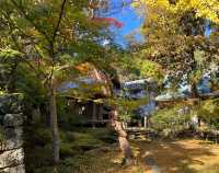 日本高知竹林寺｜禪意寶藏之旅