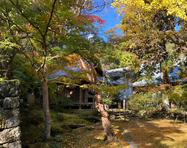 日本高知竹林寺｜禪意寶藏之旅