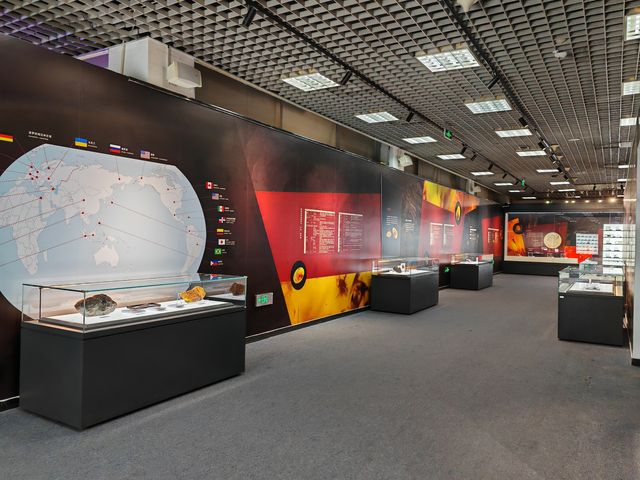 玉碗盛光——珍稀琥珀展