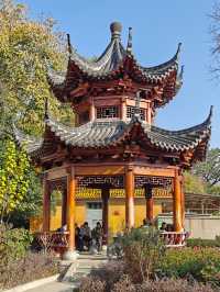 武漢旅遊 | 來寶通禪寺拜拜可以順道吸個貓