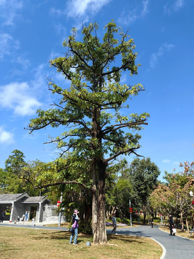 四海公園