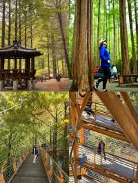 大田：韓韻交織的活力之都