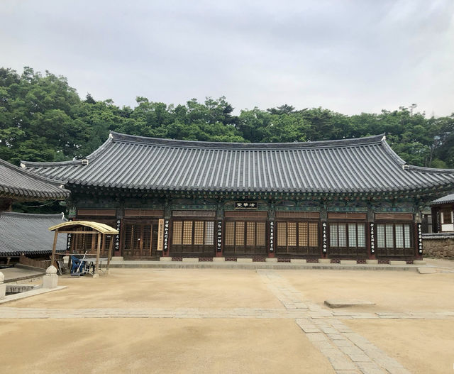 走進大邱桐華寺｜感受寧靜與祥和