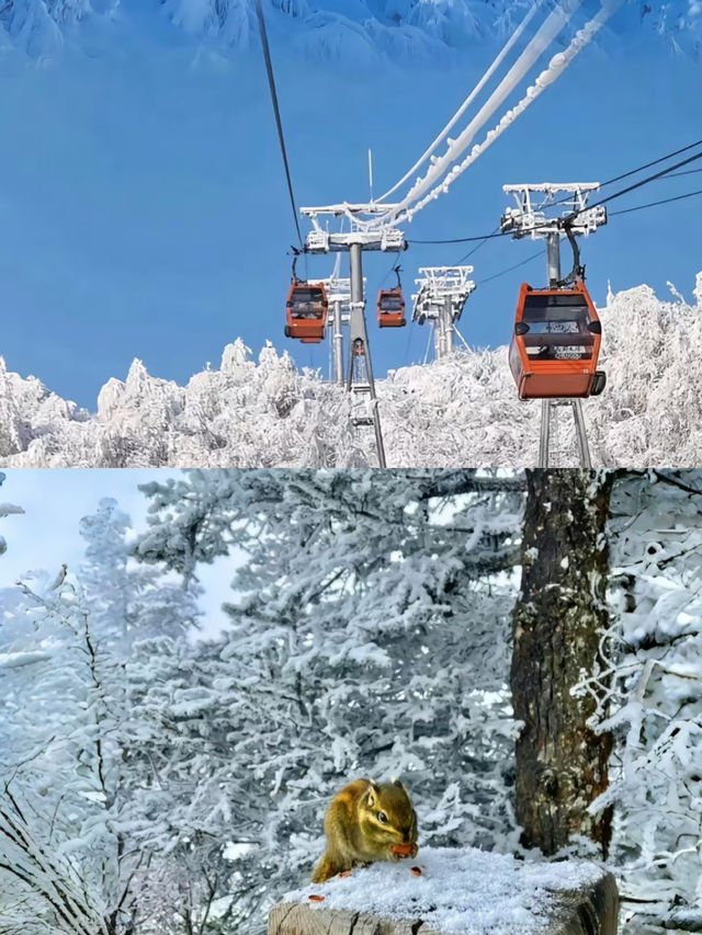 成都周邊冰雪仙境，西嶺雪山兩天一夜攻略