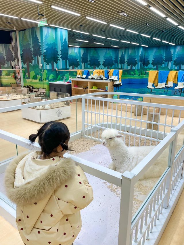 成都1h！水豚遛娃寶藏地～