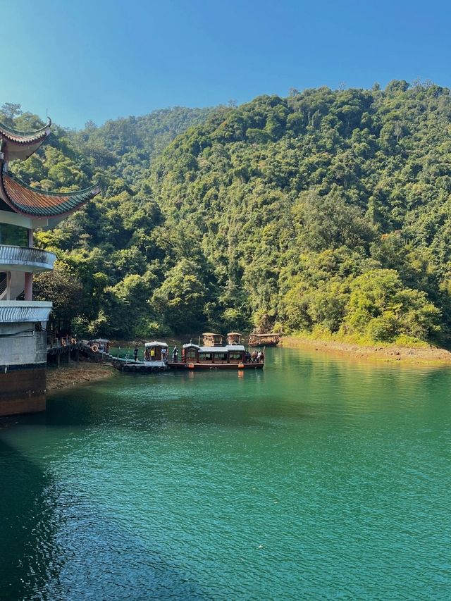 怎麼還有人不知道肇慶的寶鼎園啊