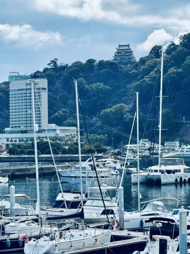 注意！去熱海賞櫻前一定要看...