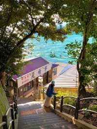 日本江之島旅行