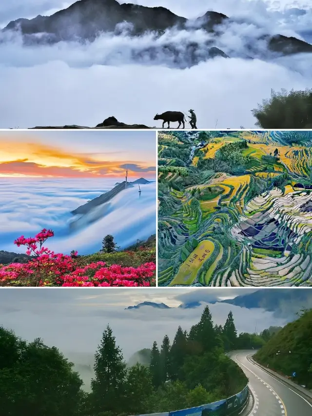 윈허 무윤주, 창밖의 시적인 삶