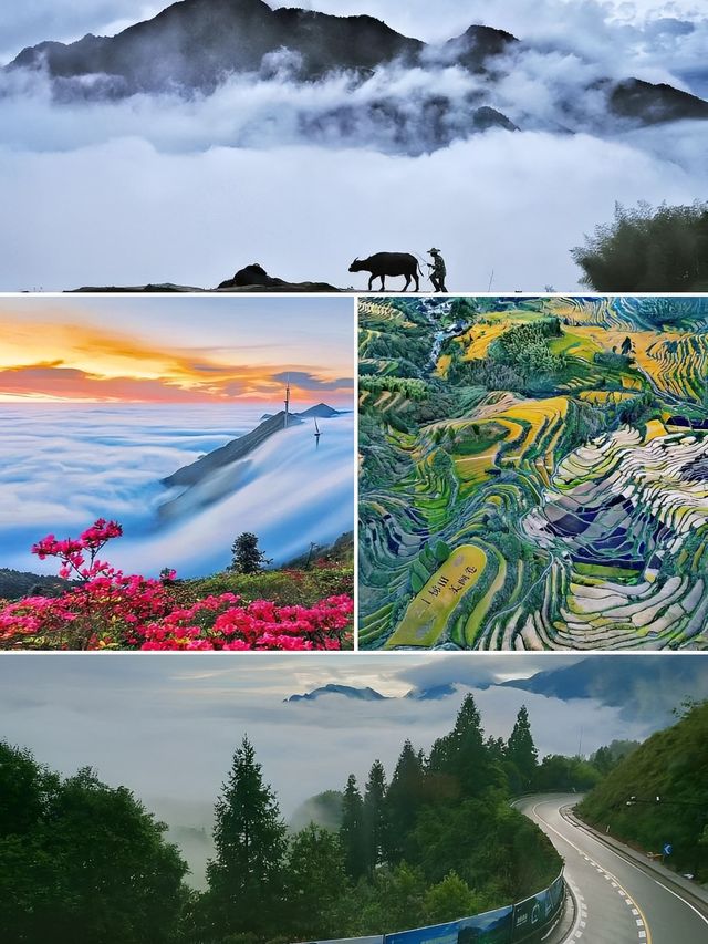 雲和牧雲居，窗外詩意的棲居