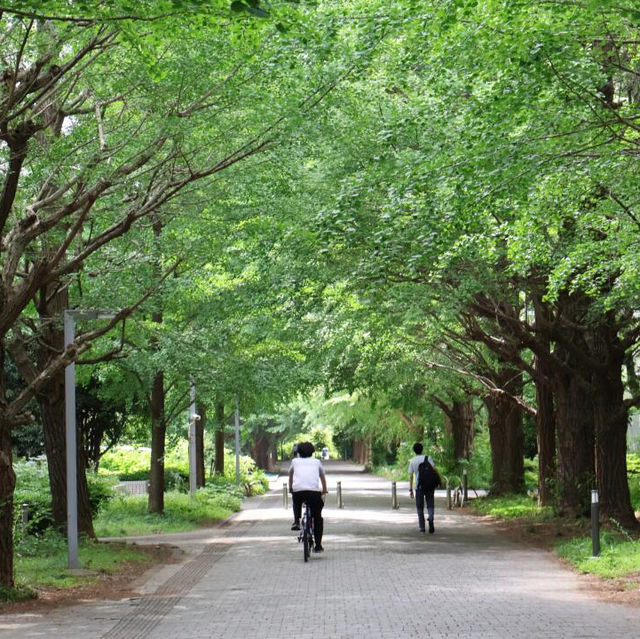 日本行| 拍了張封神照片📸 晴空下的東京塔