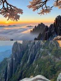 【黃山:雲海之上的仙境】