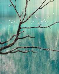 Discover the Wonders of Sichuan: Jiuzhaigou and Beyond