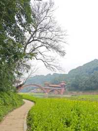 樂山濠上大橋 · 闖進春日油菜花秘境