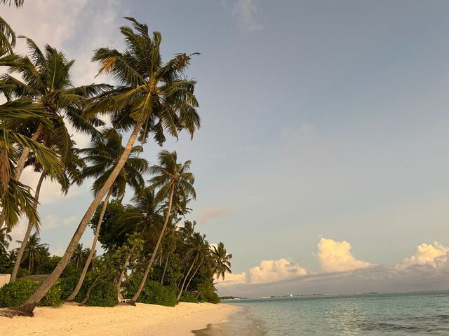 太陽島度假感受 | Sunshine in Paradise   酒店：太陽島公園別墅度假村 