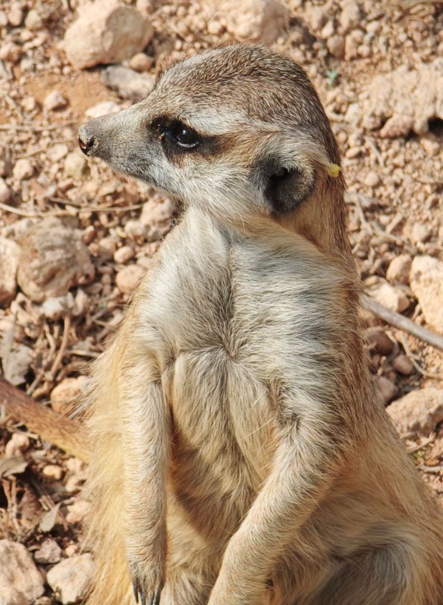 廣州動物園20元的快樂