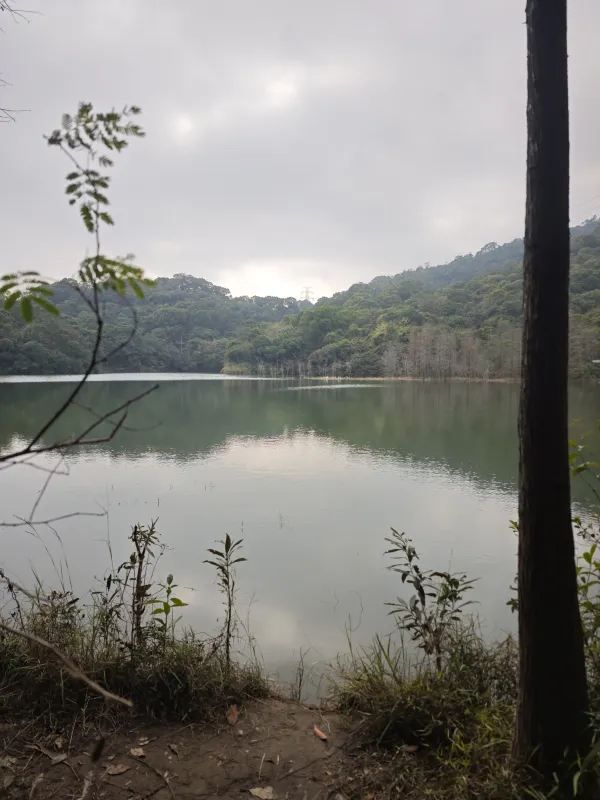 恩上濕地公園：期待與現實