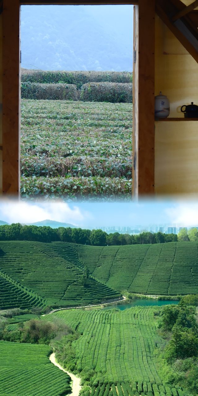 為能量低落嘅人度身訂造嘅茶園療癒路線