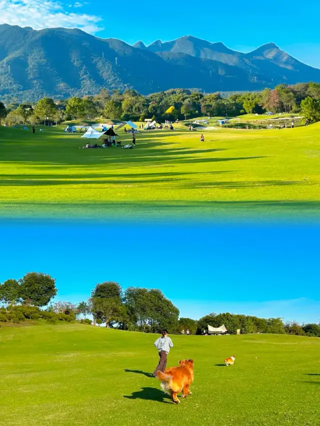廣東超棒的遛狗露營草地