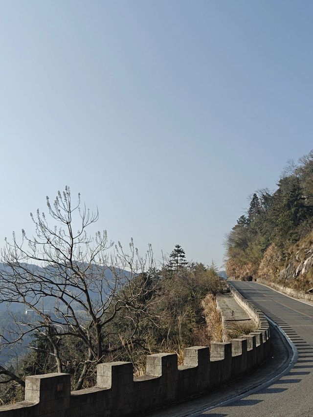 黃山2日遊看完這篇就夠了