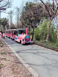 【如歌的旅程】杭州｜西溪國家濕地公園