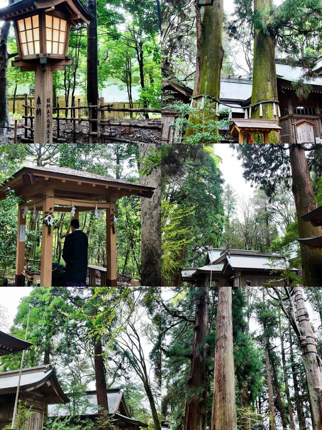 前往宮崎，展開一趟山海之旅
