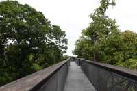 Exploring the Treetop Walkway at Kew Gardens