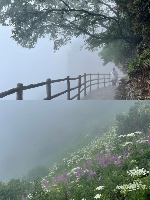 白石山國家地質公園！