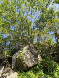6日深度暢遊三亞-儋州-瓊海 全新玩法大揭秘