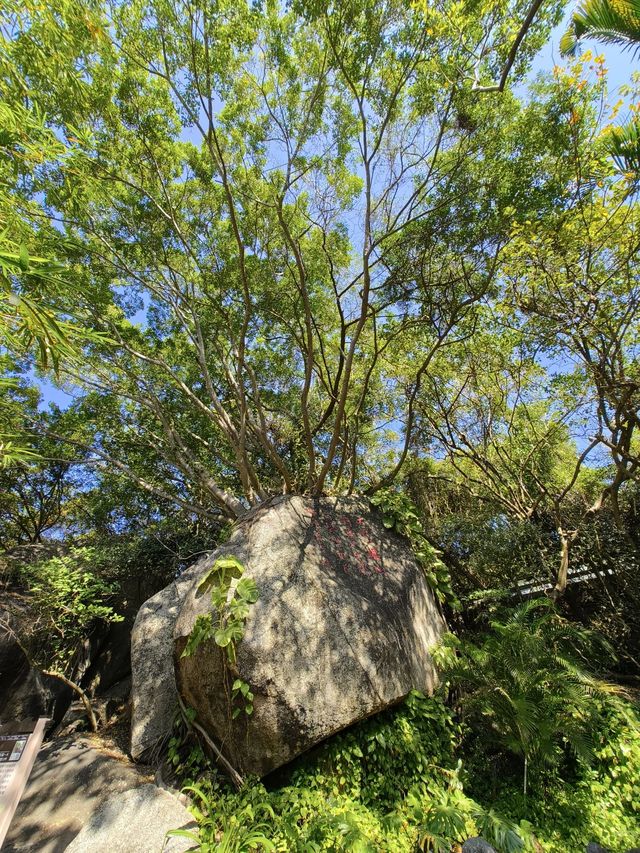 6日深度暢遊三亞-儋州-瓊海 全新玩法大揭秘