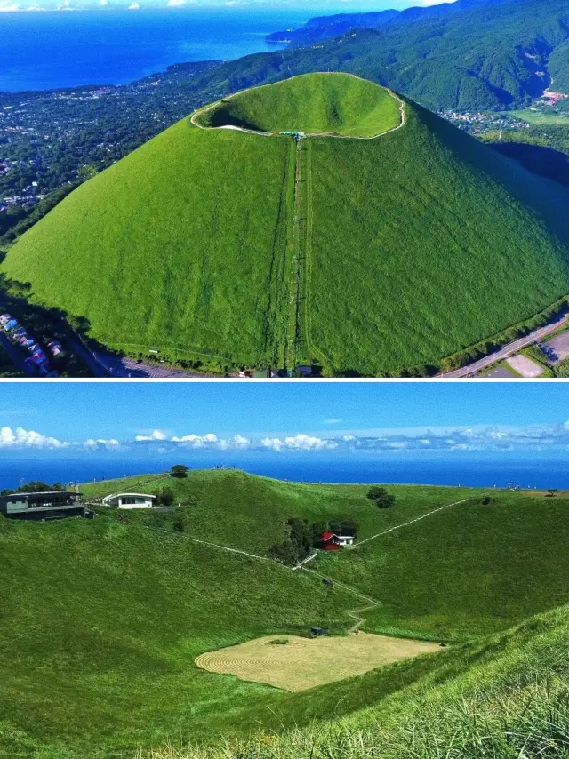 도쿄 출발 1일 체험! 이즈 산과 바다 힐링 여행