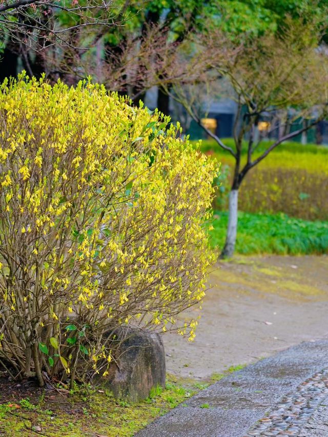 杭州青芝塢賞桃花週末攻略來啦