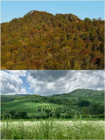 大學生勇闖白山 說點難聽大實話