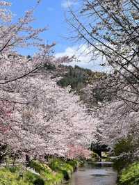 日本6天遊被朋友圈讚爆的玩法