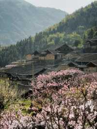 玉林桃源，土地平曠，屋舍儼然，有良田！