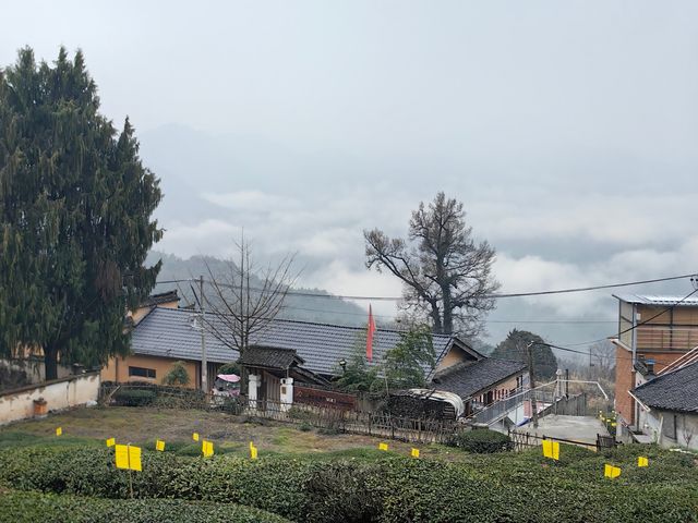 尋找徽州下一個旅行目的地，休寧金龍山