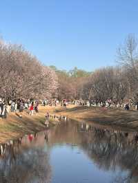 奧森桃花谷的桃花劫～