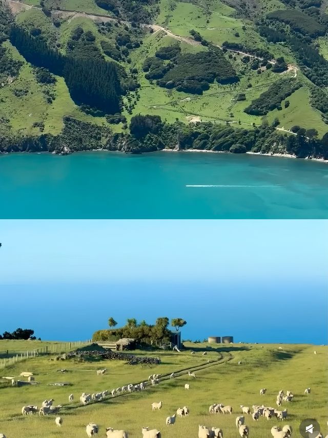 走進庫克山村，開啟一場雪山與遠足的浪漫之旅