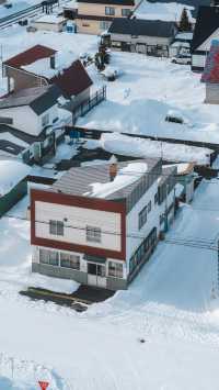 美瑛｜我願稱之為最北海道的城市 慢節奏
