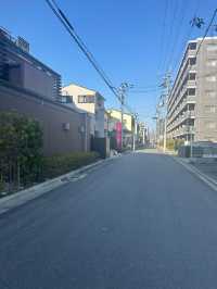 日本8日遊清明賞花正當時別錯過