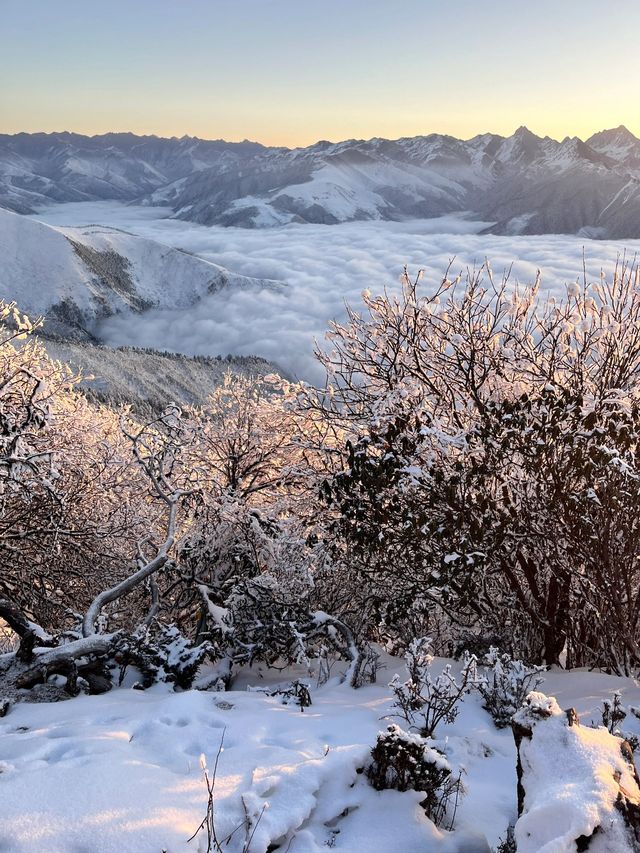 樂山3日暢遊 玩轉全景不踩坑