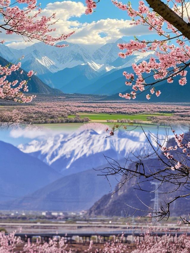 去有花盛開的地方，欣賞山川之美