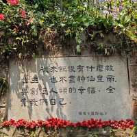 廣州中山紀念堂！邂逅春日限定木棉花架