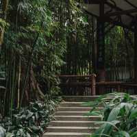 鬧市桃源！廣州蘭圃小眾公園，邂逅滿屏蔥鬱🌿🌱🍃🎋
