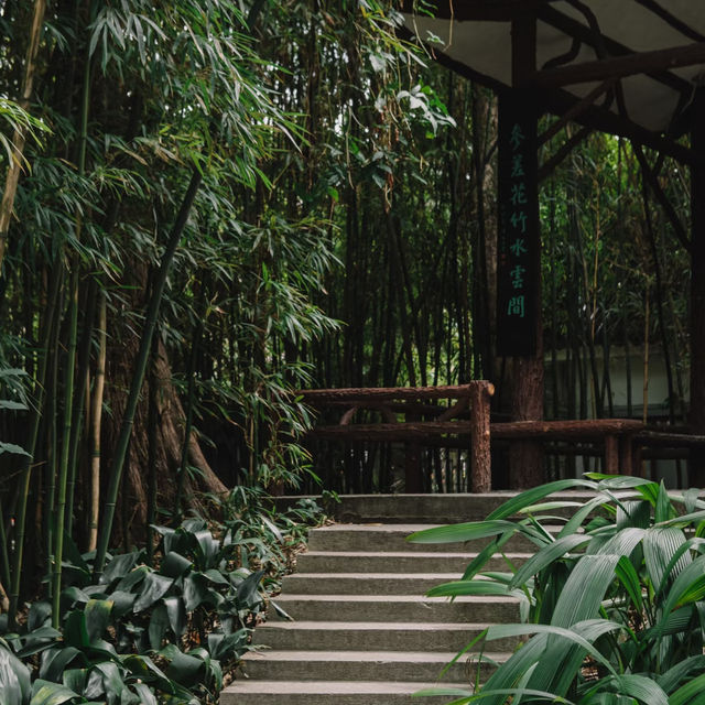 鬧市桃源！廣州蘭圃小眾公園，邂逅滿屏蔥鬱🌿🌱🍃🎋