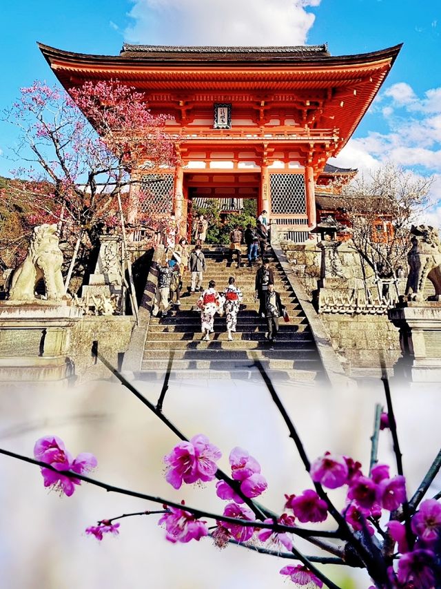 衣袂染上唐朝韻味，木屐輕敲京町——將京都的顏色穿在身上
